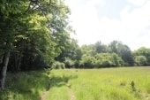 Bois du Prieur
